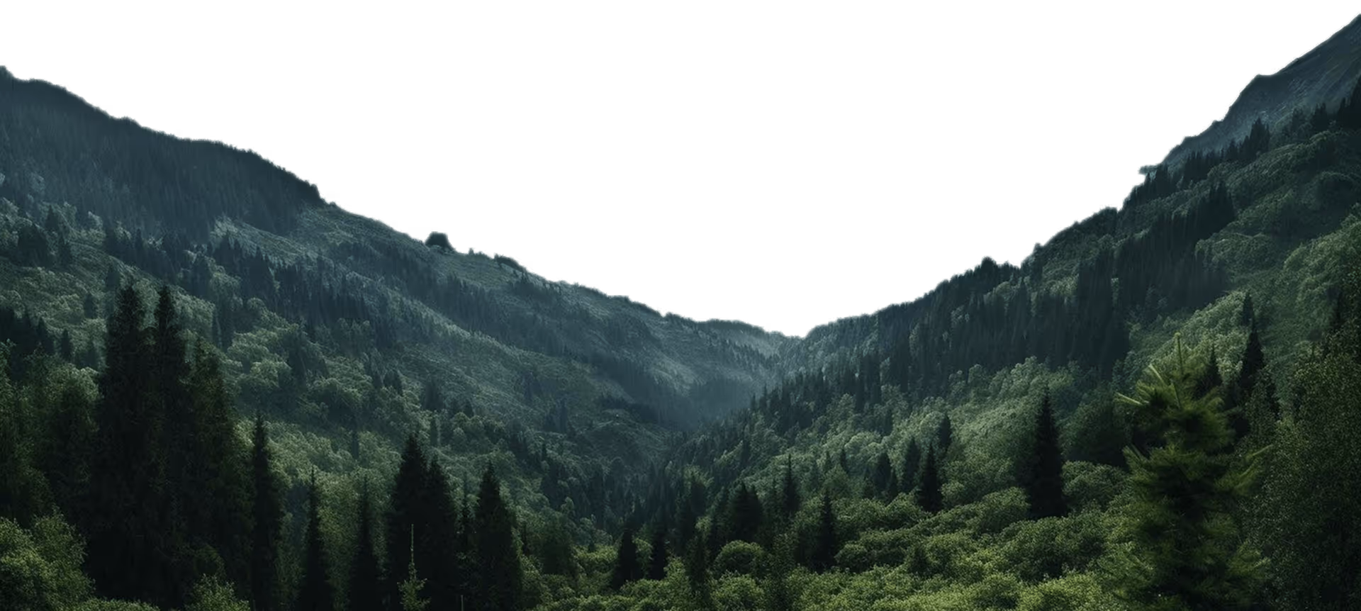 BG-image-2